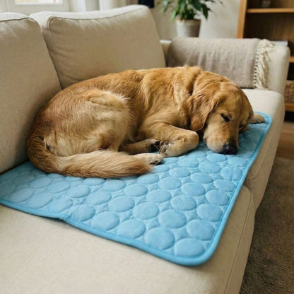 Vilessa: Cooling Dog Mat