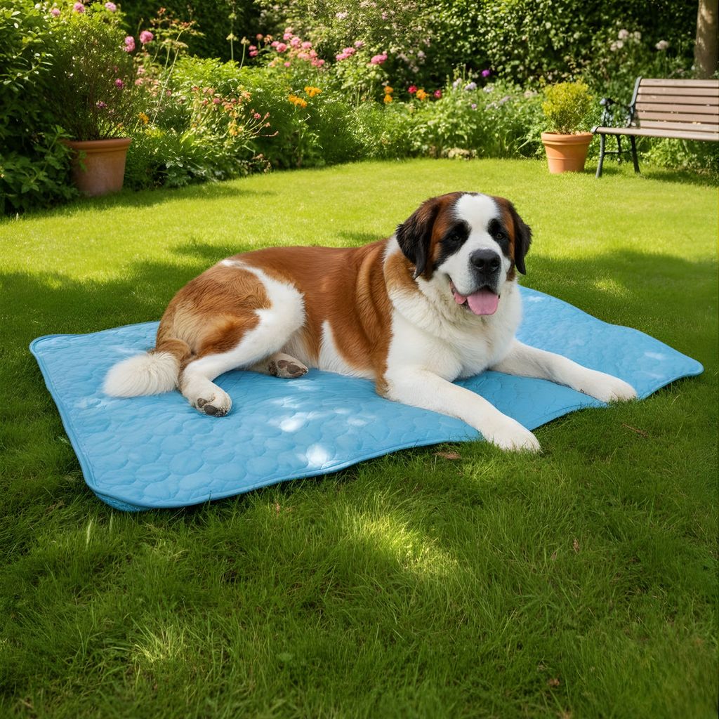 Vilessa: Cooling Dog Mat