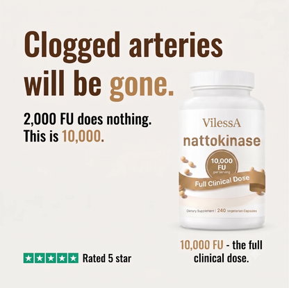 Nattokinase 10,000 FU