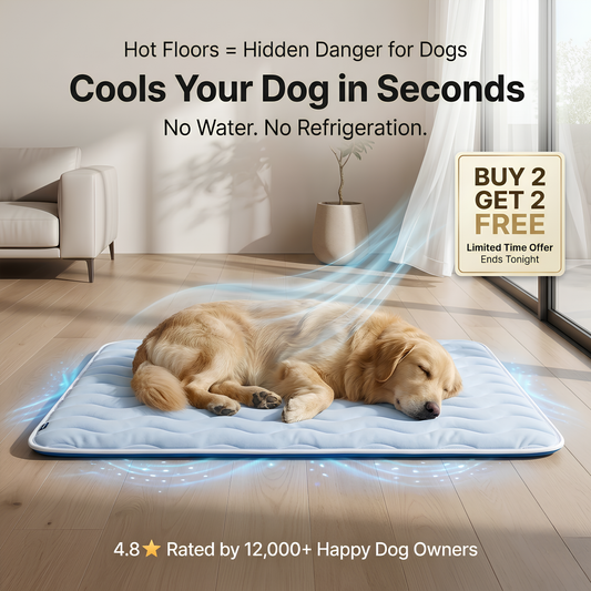 Vilessa: Cooling Dog Mat
