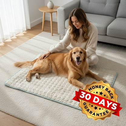 Vilessa: Cooling Dog Mat