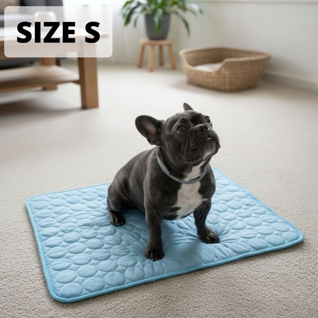 Vilessa: Cooling Dog Mat