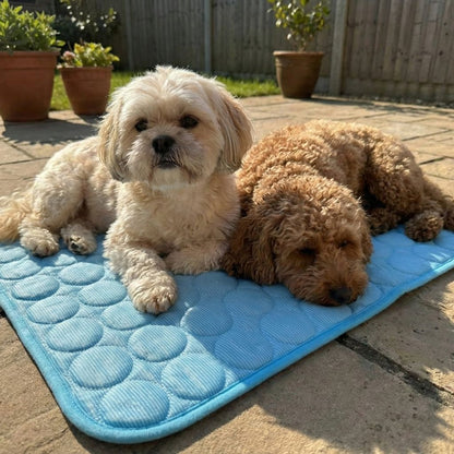 Vilessa: Cooling Dog Mat