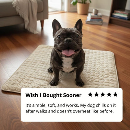 Vilessa: Cooling Dog Mat