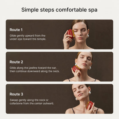 Vilessa Facial Therapy Massager Pro