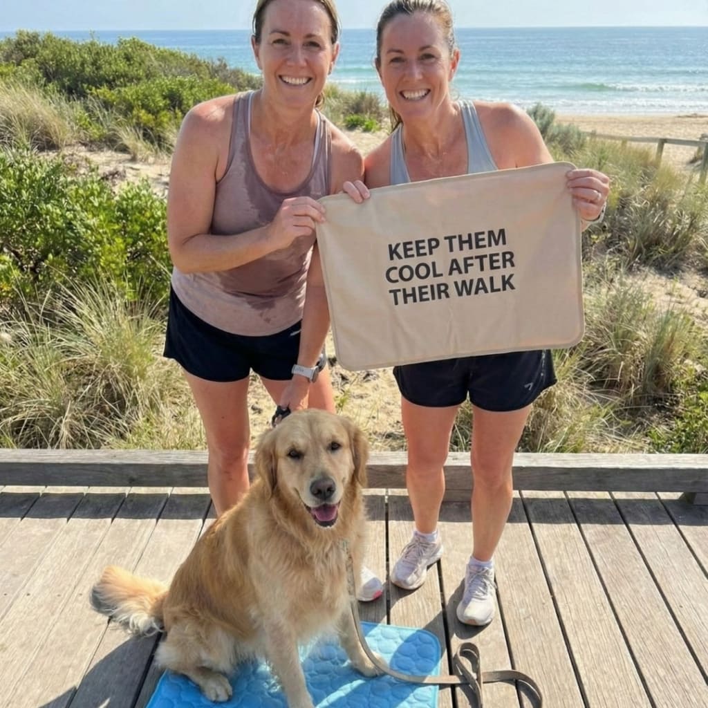 Vilessa: Cooling Dog Mat