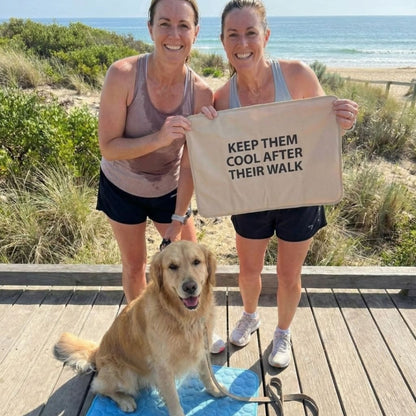 Vilessa: Cooling Dog Mat