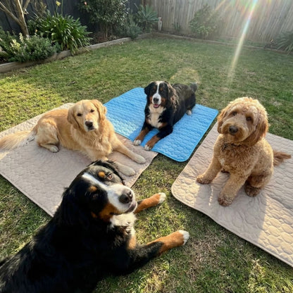 Vilessa: Cooling Dog Mat
