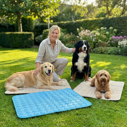 Vilessa: Cooling Dog Mat