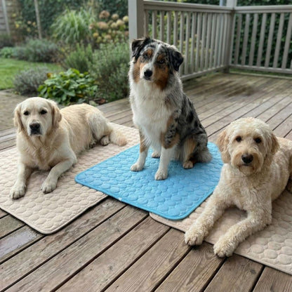 Vilessa: Cooling Dog Mat