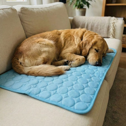 Vilessa: Cooling Dog Mat