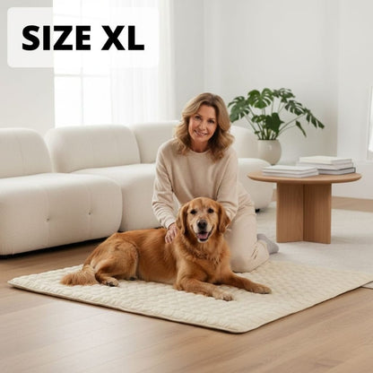 Vilessa: Cooling Dog Mat